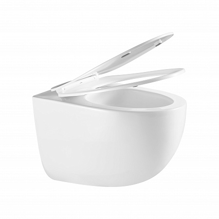 Подвесной унитаз безободковый Terminus Енисей Monolit 560х390 белый Биробиджан - фото 7 Подвесной унитаз безободковый Terminus Енисей Monolit 560х390 белый Биробиджан - фото 7