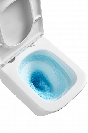 Подвесной унитаз безободковый Terminus Ватикан Monolit 490х340 белый Биробиджан - фото 8 Подвесной унитаз безободковый Terminus Ватикан Monolit 490х340 белый Биробиджан - фото 8