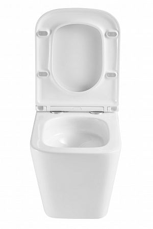 Подвесной унитаз безободковый Terminus Ватикан Monolit 490х340 белый Биробиджан - фото 7 Подвесной унитаз безободковый Terminus Ватикан Monolit 490х340 белый Биробиджан - фото 7