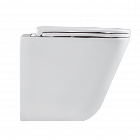 Подвесной унитаз безободковый Terminus Ватикан Monolit 490х340 белый Биробиджан - фото 4 Подвесной унитаз безободковый Terminus Ватикан Monolit 490х340 белый Биробиджан - фото 4