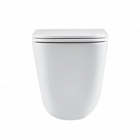 Подвесной унитаз безободковый Terminus Ватикан Monolit 490х340 белый Биробиджан - фото 6 Подвесной унитаз безободковый Terminus Ватикан Monolit 490х340 белый Биробиджан - фото 6