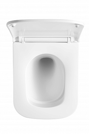 Подвесной унитаз безободковый Terminus Ватикан Monolit 490х340 белый Биробиджан - фото 3 Подвесной унитаз безободковый Terminus Ватикан Monolit 490х340 белый Биробиджан - фото 3